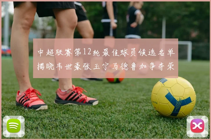 中超联赛第12轮最佳球员候选名单揭晓韦世豪张玉宁马德鲁加争夺荣誉